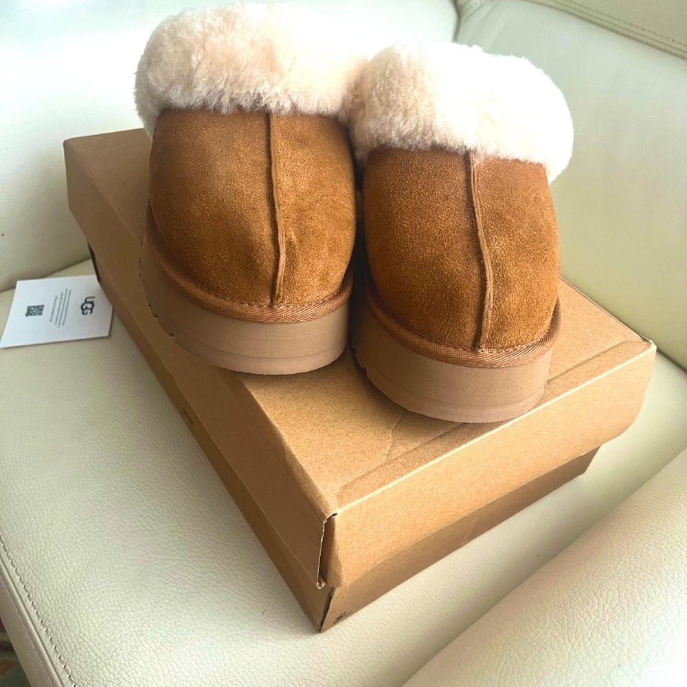 NWT UGG Disquette Slippers Chestnut - Women’s Slides Sheepskin Clog Mules - Picture 5 of 13
